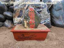 【泰山石敢當】盆裝,價格,廠家,圖片,供應商,其他石材石料,泰安市泰山區五尊石材銷售中心 - 產品庫 - 阿土伯交易網