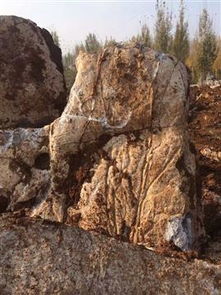 不限,價格,廠家,供應商,沙石 礫石 卵石及制品,臨沂市蘭山區(qū)大躍石材銷售處 熱賣促銷